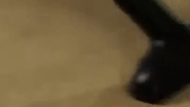 Отпариватель Monster Garment Steamer (Монстр Гармент Стимер) смотреть онлайн