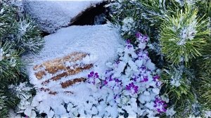 Белым снегом... С первым снегом! Осенние зарисовки.