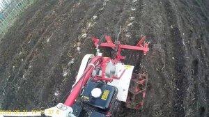 Мотоблок Weima 1050.Садим картошку.