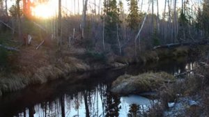 природа севера ремикс