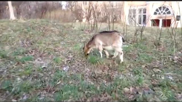 "Идилия" Храм св.Софии во Львове смотреть онлайн