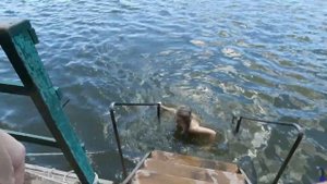 База Русский дом село Язово 2017