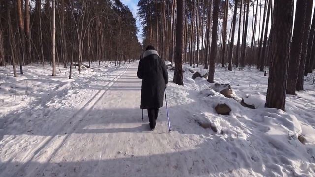 Прогулка по парку с FeiyuTech ak2000c + Sony A5000 + Sigma EX10-20 смотреть онлайн