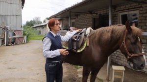 Седловка лошади | Седлайте коней | Дивные кони