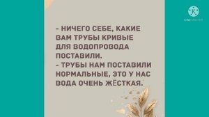 - Моня, что случилось? Лучшие анекдоты дня!