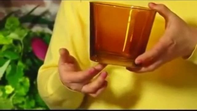 Сенполия, узамбарская фиалка.avi