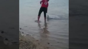 РЫБАЛКА НЕВОДОМ ЗАКИДЫВАЕТ МОРЕ РЫБЫ