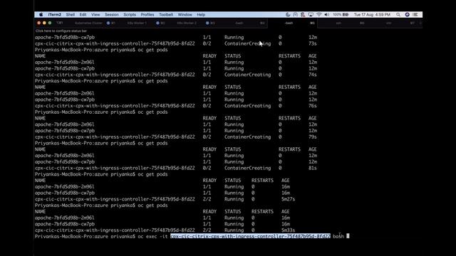 Microservices-Based Application Delivery with Citrix and Red Hat OpenShift® смотреть онлайн