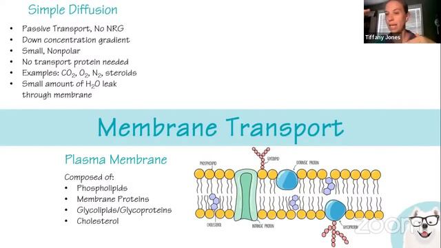AP Biology Unit 2 Review