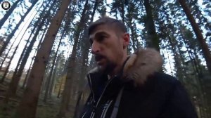 Гриб поддубовик можно ли его есть. Гуляем по лесу