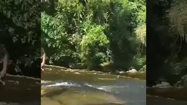 Скольжение по скалам
