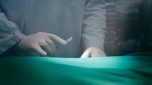 The #LEC welcomes Kia Motors! смотреть онлайн