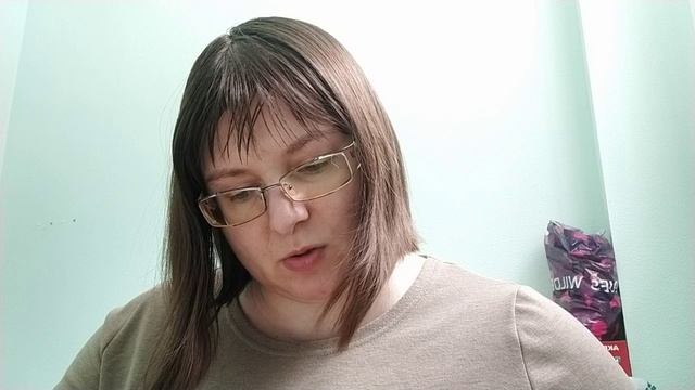Аркадий Гайдар «У переправы»