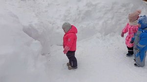 Прогулка 25 января 2024