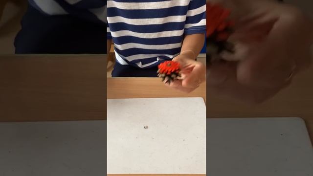 Мастер-класс по прикладному творчеству «ОСЕННИЕ ЦВЕТЫ (ИЗ ШИШЕК)" воспитателя Кузьмичёвой Ю.В. смотреть онлайн