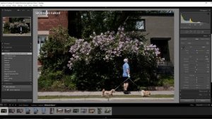 Get The 'Film Look' - Dehancer Film Plugin for Adobe LR - First Look & Review