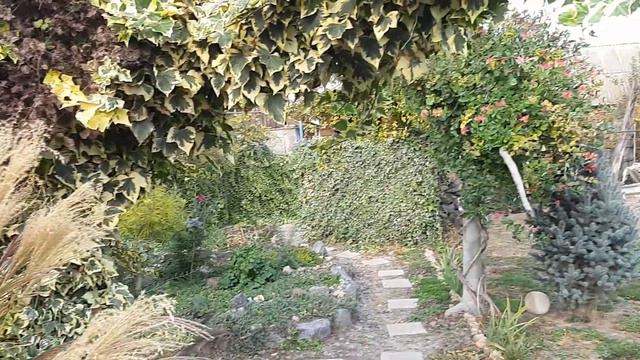 Знову переробки в саду, одне викопую, друге саджаю#виробиізбетонусвоїмируками#плющі#вічнозеленіліан смотреть онлайн