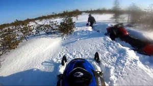 ? Часть 1.  Прохват с братом по болотам Тайги на снегоходах. Встретили медведя  STELS Капитан 200