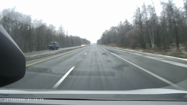 Лось на гомельской трассе смотреть онлайн