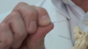 Каналы височной кости