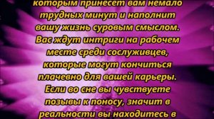 К чему снится понос, панос