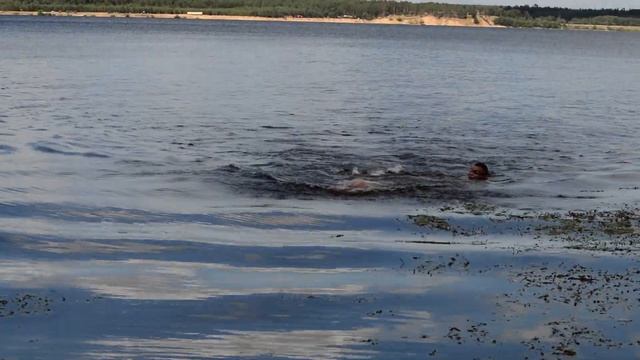 Заплыв через Волгу 16.06.2020 смотреть онлайн