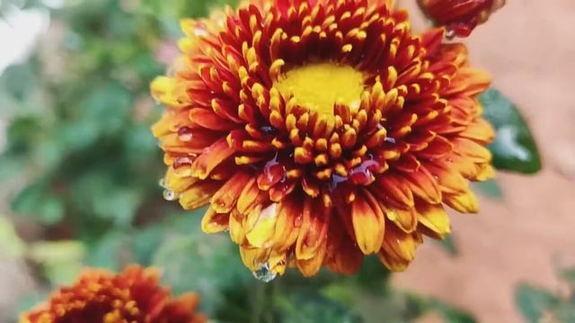 Спокойная музыка для сна. Пианино. Классика смотреть онлайн