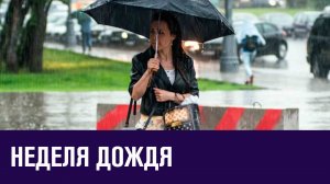 Москвичам предстоит дождливая неделя - Прогноз Погоды/Москва FM