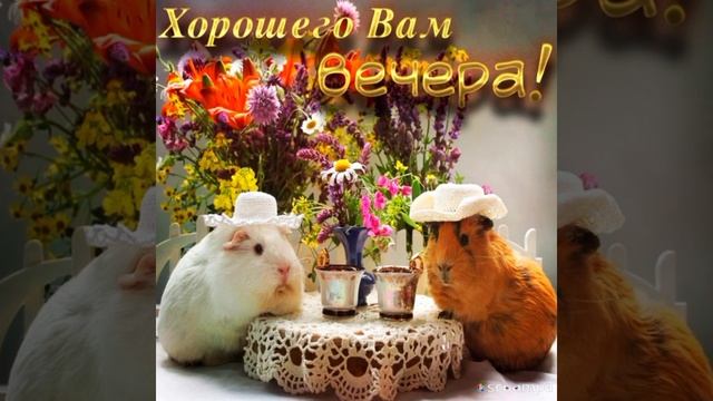 Добрый вечер друзья??? смотреть онлайн