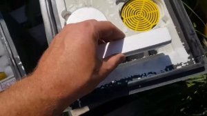 Шестирамочник лысонь удобен всем...