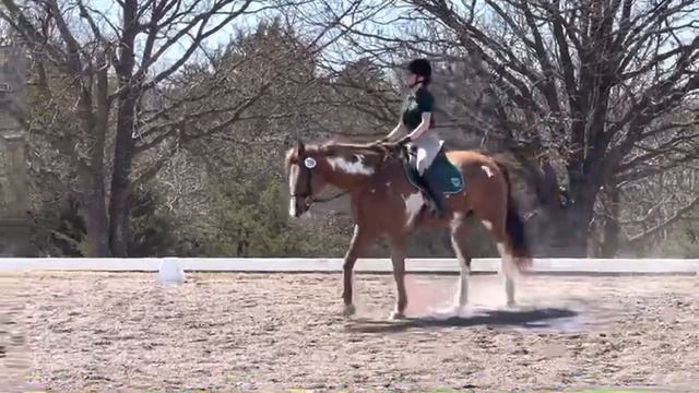 Dressage Test A/B Intro • Stillwater Dressage Show • Valley View смотреть онлайн