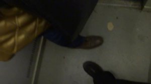 Электрический лифт V=0,71 м-с, грузоподьемность 320 кг (1033)