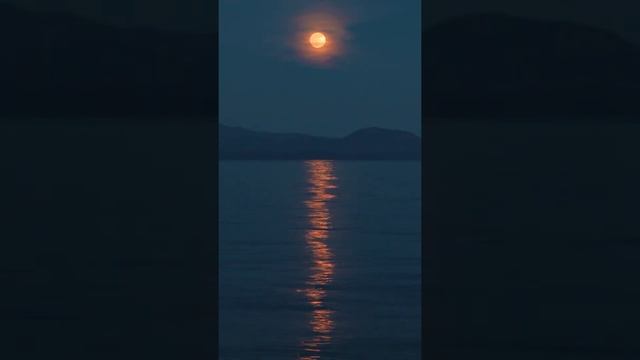 #Shorts #СТИХИ ОМАР ХАЙЯМ "КАК ЧАСТО В ЖИЗНИ ОШИБАЯСЬ.." смотреть онлайн