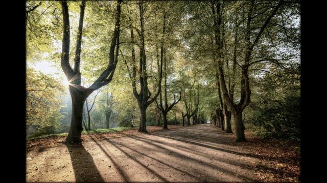 Music for reflection without words 2 / Музыка для размышлений без слов 2