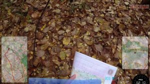 Спортивное ориентирование, Красный Лист 2019, Смоленск 13.10.2019