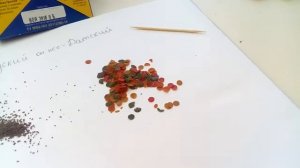 Корм для рыбок # 2#