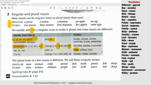 1.1 Множественное число в английском слишком просто? Singular and plural nouns.Грамматика Elementar