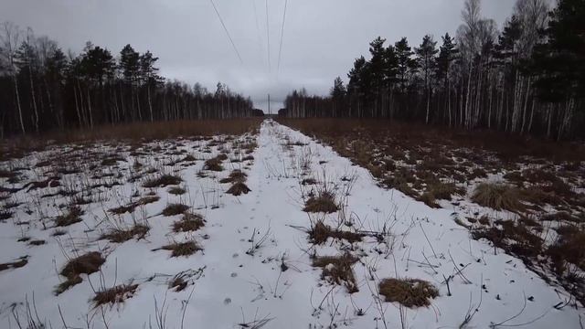 Охота #142 вышли лоси, кабаны смотреть онлайн