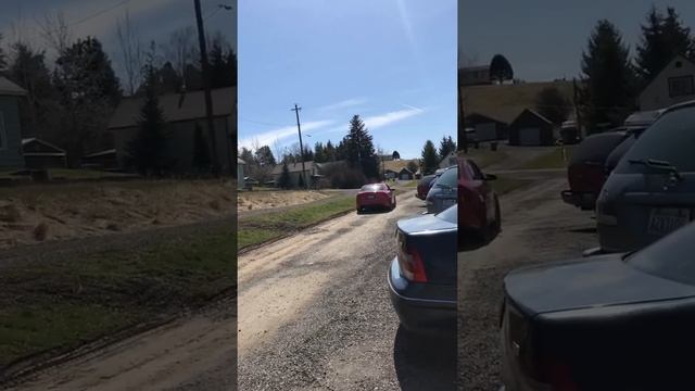 Audi s4 disturbs the neighbors dogs