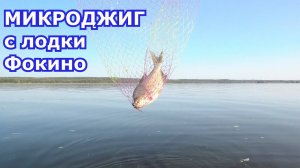 Рыбалка на МИКРОДЖИГ и дропшот, с лодки. Спиннинг Salmo Elite MICROJIG 10.