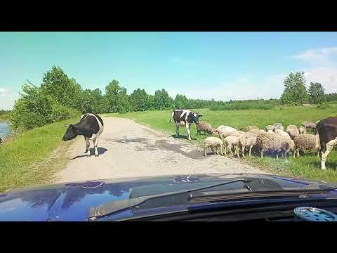 Первый выезд и ночёвка в жилом модуле. смотреть онлайн