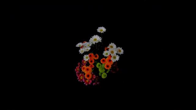 Цветочное время Ночные часы смотреть онлайн