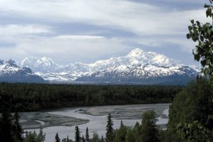 Родовая система. Законы рода. Родовые программы