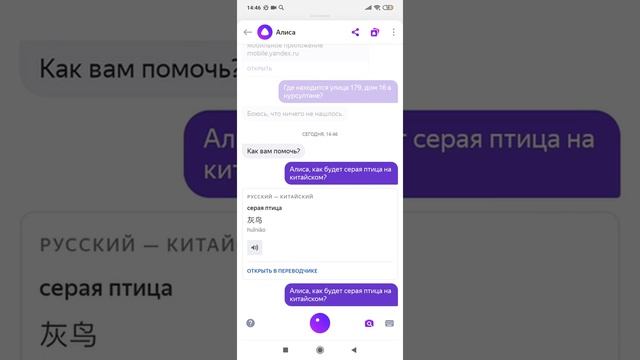 как будет серая птица на китайском?