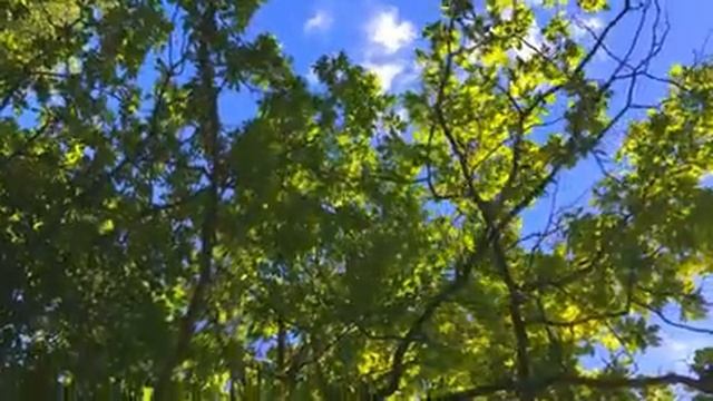 2 Hours Beautiful Meditation Music Sleep Music Ambient Study Music Relaxing Peaceful Music