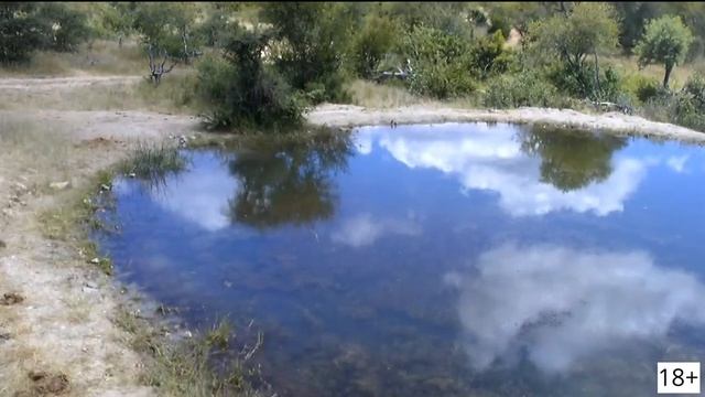 ЗВУКИ ПРИРОДЫ ДЛЯ СНА КАНАЛ ЙКЙЯМ смотреть онлайн