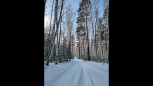 Баню Мобиба (кайфандра) попробовали зимой при -10С без тента, тамбура и других утеплителей.