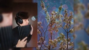 Баллада. Флейта пана. Панфлейта. Наталья Герман.