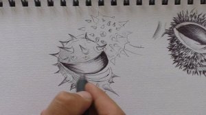 Рисование каштана
