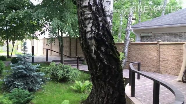 Участок в КП «Гайд-парк» смотреть онлайн